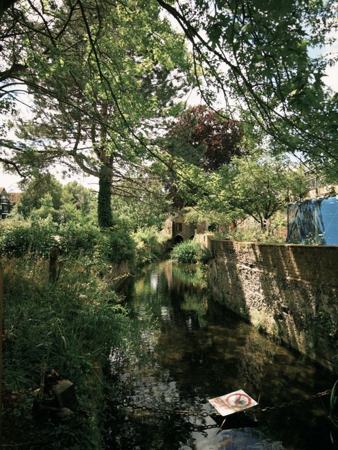 A narrow stream or canal running through a green, rural area during daytime, with clear water reflecting the surrounding foliage. Overhanging tree branches with green and some reddish leaves extend ac