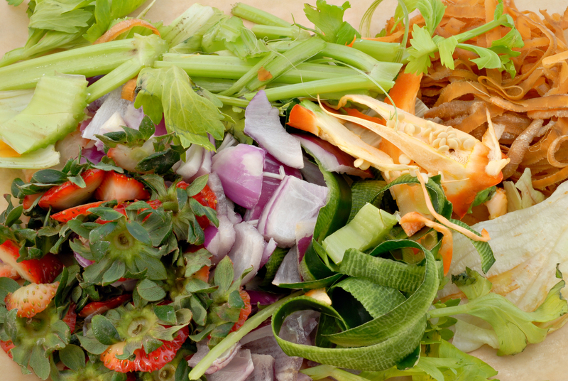 waste disposal waste collection